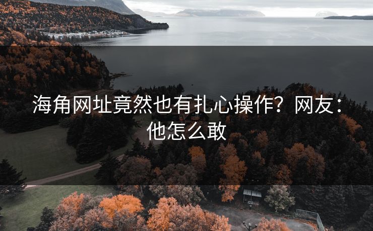 海角网址竟然也有扎心操作？网友：他怎么敢
