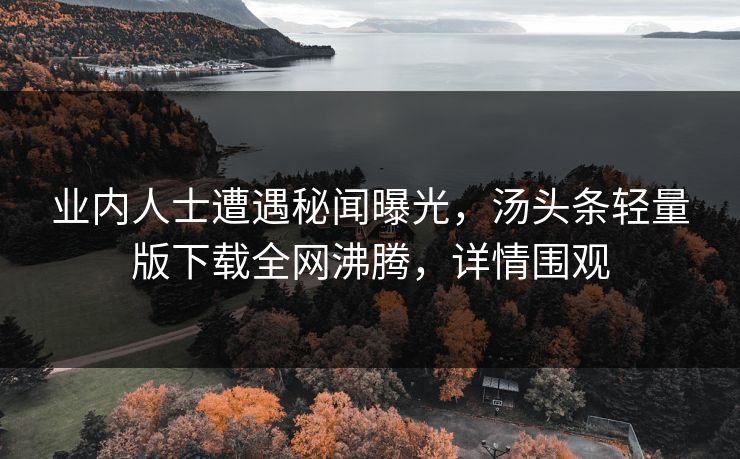 业内人士遭遇秘闻曝光，汤头条轻量版下载全网沸腾，详情围观