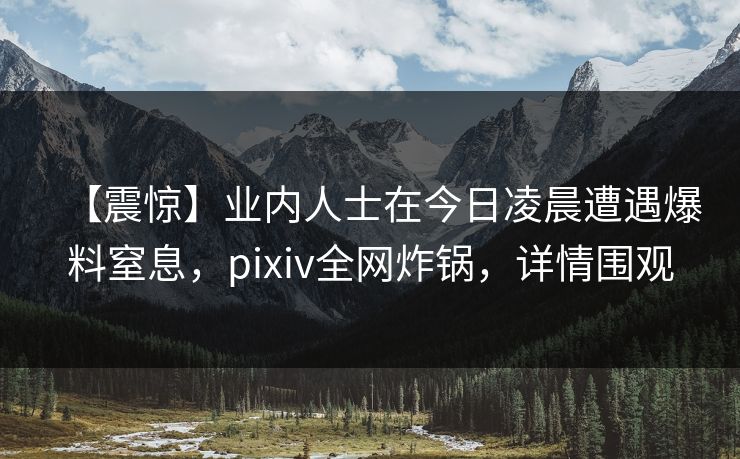 【震惊】业内人士在今日凌晨遭遇爆料窒息，pixiv全网炸锅，详情围观