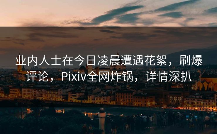 业内人士在今日凌晨遭遇花絮，刷爆评论，Pixiv全网炸锅，详情深扒