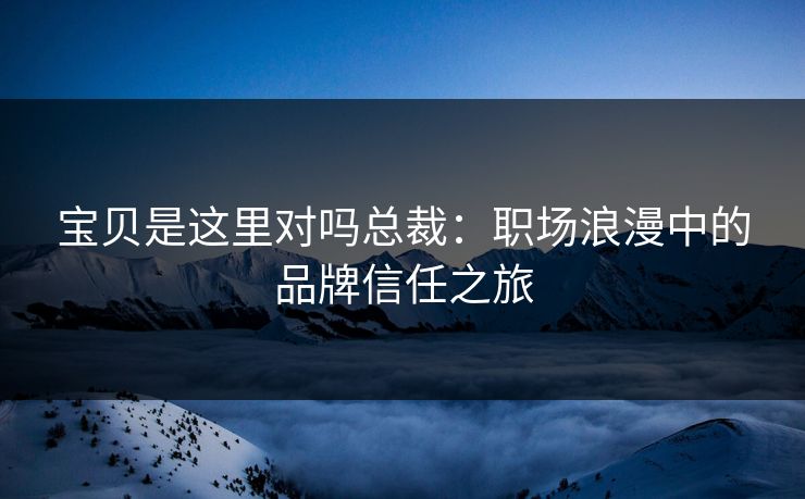 宝贝是这里对吗总裁：职场浪漫中的品牌信任之旅