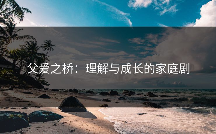 父爱之桥：理解与成长的家庭剧