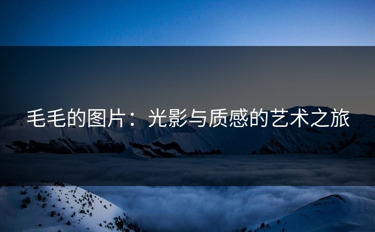 毛毛的图片：光影与质感的艺术之旅