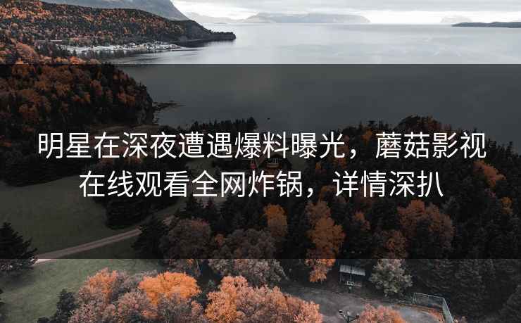 明星在深夜遭遇爆料曝光，蘑菇影视在线观看全网炸锅，详情深扒