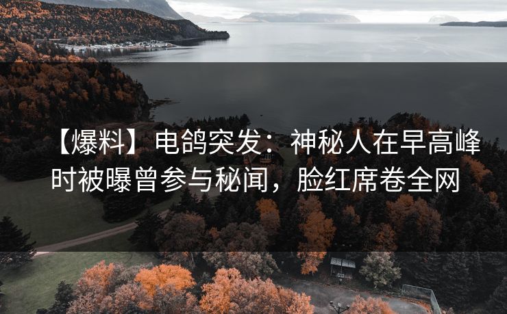 【爆料】电鸽突发：神秘人在早高峰时被曝曾参与秘闻，脸红席卷全网