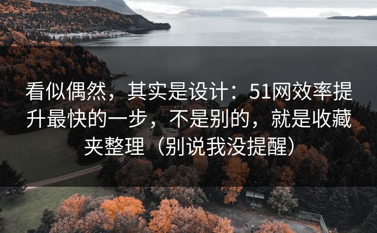看似偶然，其实是设计：51网效率提升最快的一步，不是别的，就是收藏夹整理（别说我没提醒）