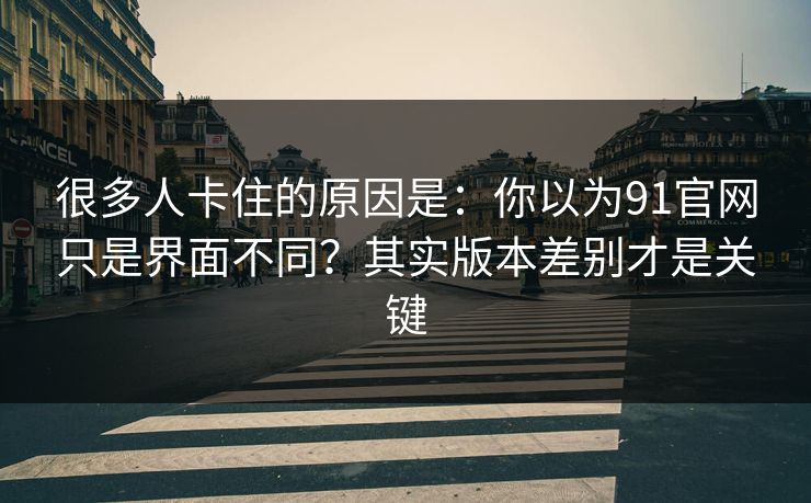 很多人卡住的原因是：你以为91官网只是界面不同？其实版本差别才是关键
